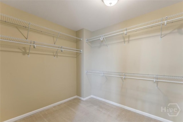 54 Winslow, Savannah, GA 31407 - walk in closet featuring carpet flooring