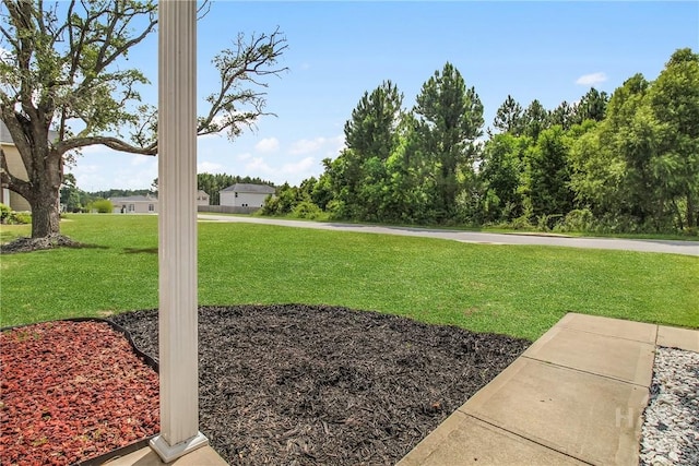 134 NE Dove Run Rd, Ludowici, GA 31316 - photo 6