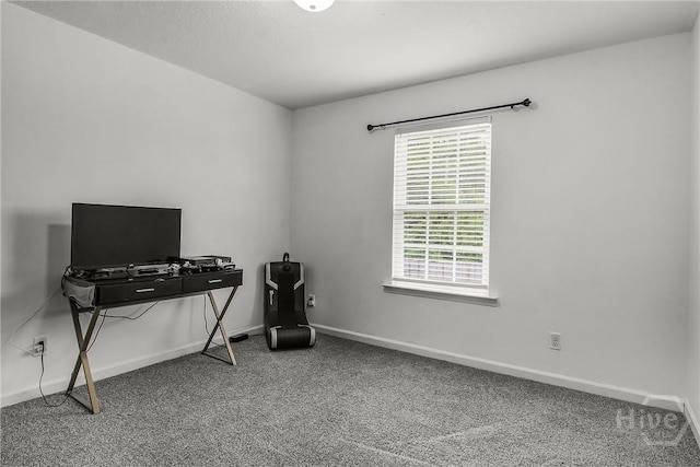 134 NE Dove Run Rd, Ludowici, GA 31316 - photo 33
