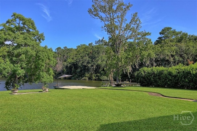 114 Lakeview Ct, Savannah, GA 31406 - view of green lawn featuring a water view