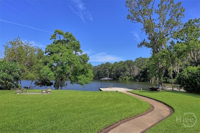 114 Lakeview Ct, Savannah, GA 31406 - view of community with a water view, a boat dock, and a lawn