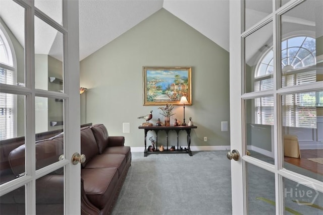 114 Lakeview Ct, Savannah, GA 31406 - sitting room with carpet floors, high vaulted ceiling, healthy amount of natural light, and french doors