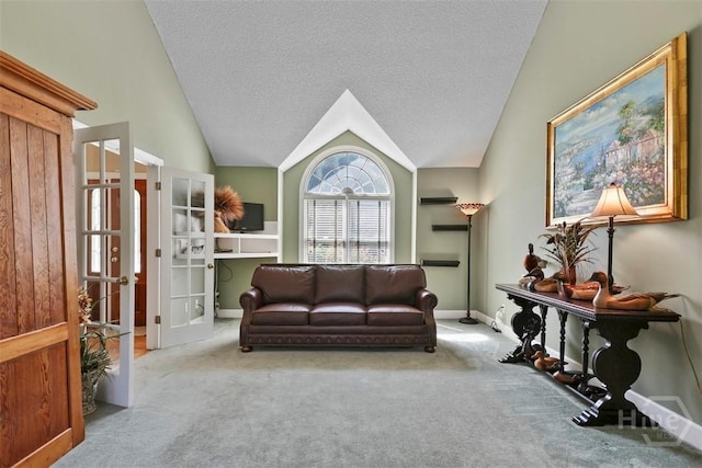 114 Lakeview Ct, Savannah, GA 31406 - living area with lofted ceiling, carpet floors, and a textured ceiling