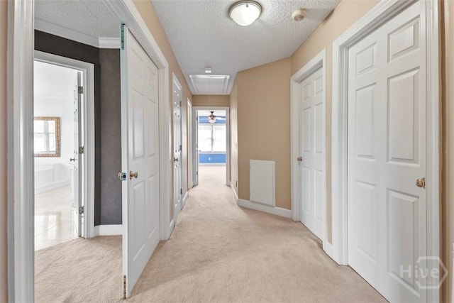 114 Lakeview Ct, Savannah, GA 31406 - hallway with attic access, light colored carpet, and a textured ceiling