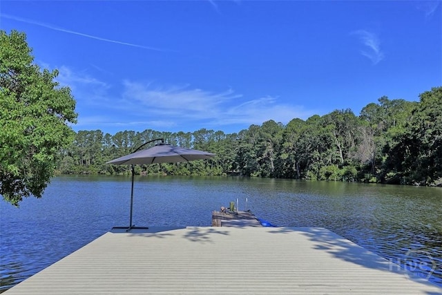 114 Lakeview Ct, Savannah, GA 31406 - dock area featuring a water view and a forest view
