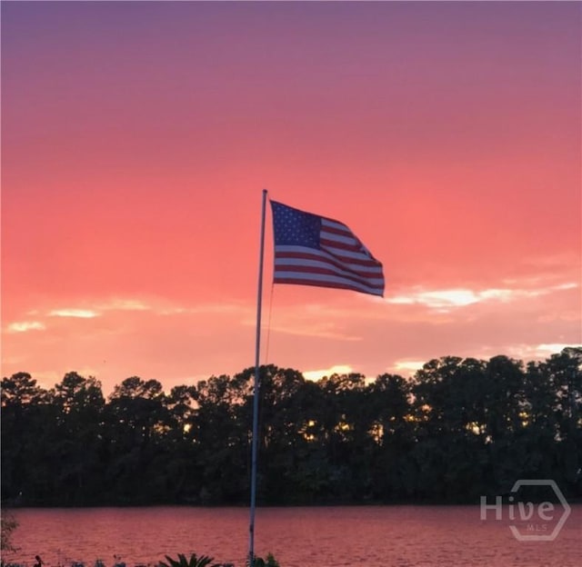 114 Lakeview Ct, Savannah, GA 31406 - water view