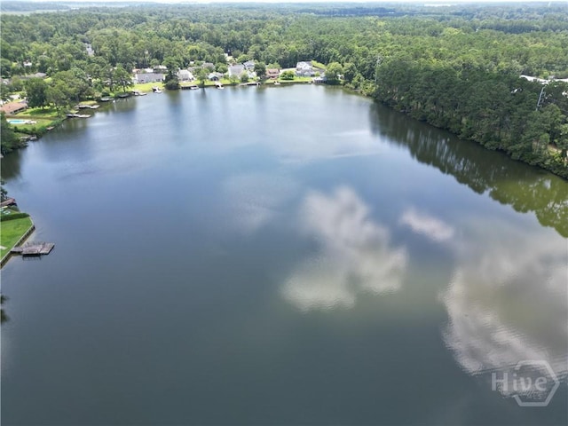 114 Lakeview Ct, Savannah, GA 31406 - drone / aerial view of a large body of water