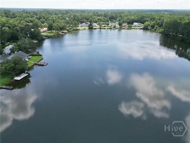114 Lakeview Ct, Savannah, GA 31406 - drone / aerial view of a large body of water and a forest