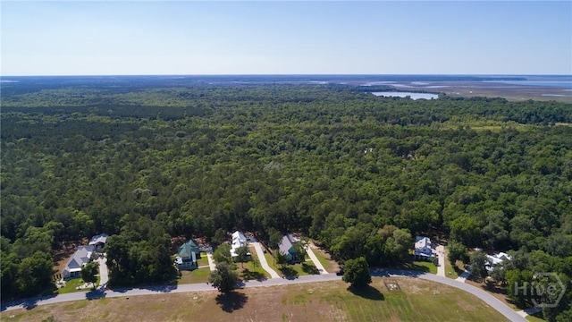 523 Goodman Dr, Midway, GA 31320 - view of property location featuring a heavily wooded area