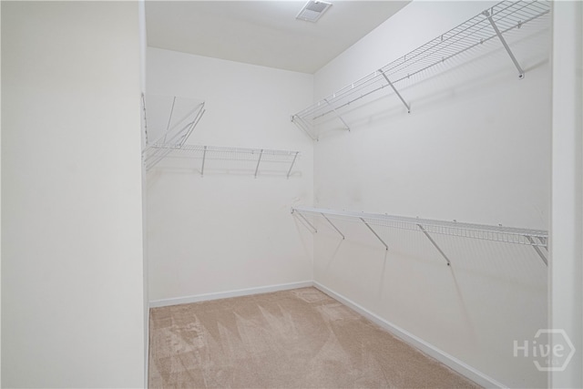 143 Regency Cir, Pooler, GA 31322 - spacious closet featuring light carpet