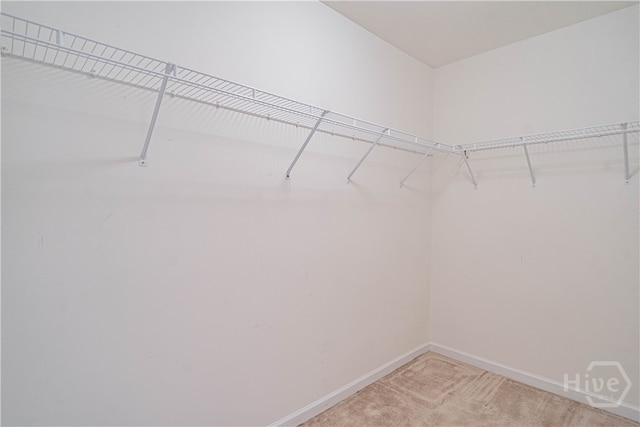 143 Regency Cir, Pooler, GA 31322 - spacious closet with light carpet