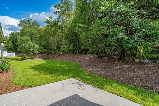 143 Regency Cir, Pooler, GA 31322 - view of green lawn with a patio