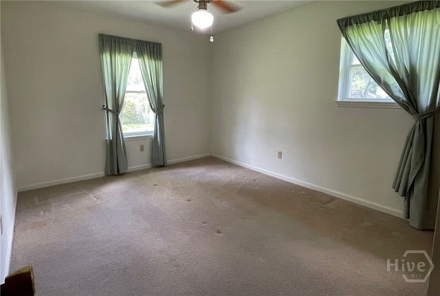 209 Sunderland Dr, Savannah, GA 31406 - photo 16