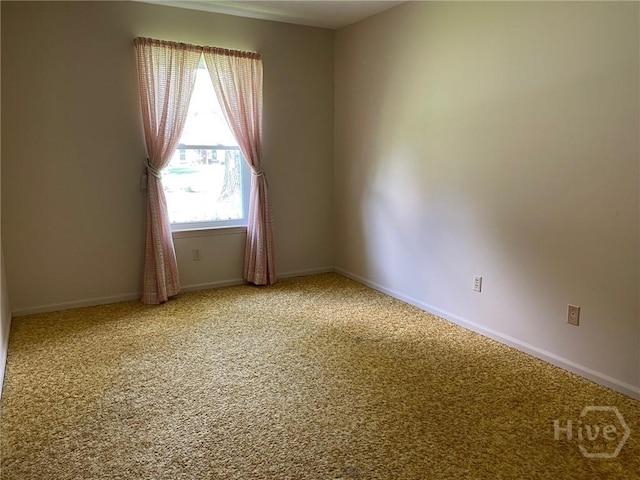 209 Sunderland Dr, Savannah, GA 31406 - photo 12