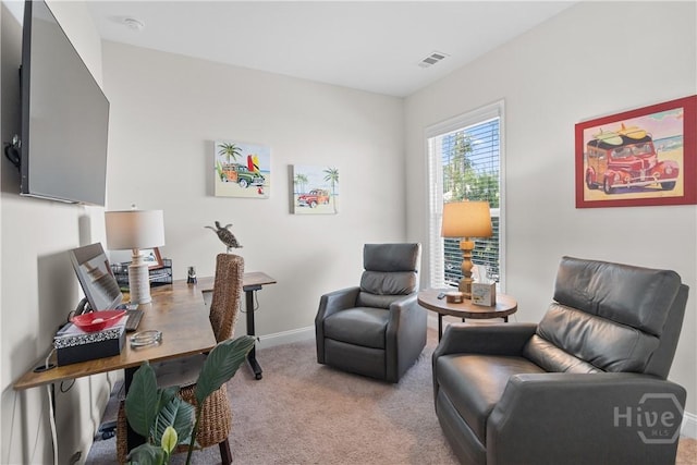 12 Mcrorrie Dr, Richmond Hill, GA 31324 - photo 30