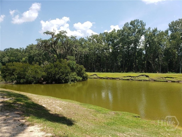 650 Summer Hill Way, Richmond Hill, GA 31324 - water view with a heavily wooded area