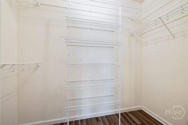 310 Tibet Ave Unit 52, Savannah, GA 31406 - walk in closet featuring wood finished floors