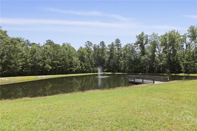 103 Beaubrook Xing, Springfield, GA 31329 - photo 43