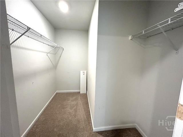 113 Pipit, Bloomingdale, GA 31302 - photo 34