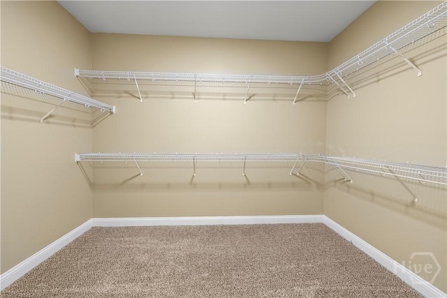 207 Hubener Dr, Rincon, GA 31326 - photo 29
