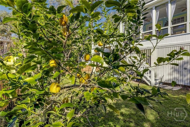 108 Brevard Ct, Savannah, GA 31410 - photo 42