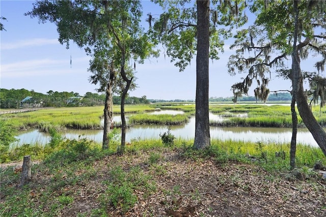 1258 Windswept Oak Ln, Beaufort, SC 29902 - photo 53