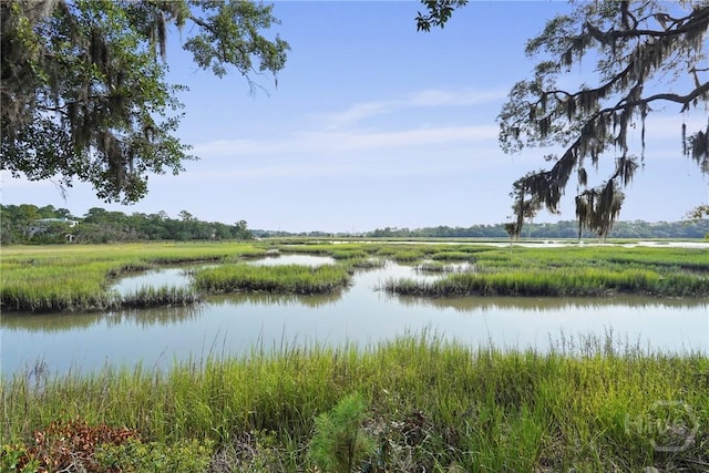 1258 Windswept Oak Ln, Beaufort, SC 29902 - photo 54