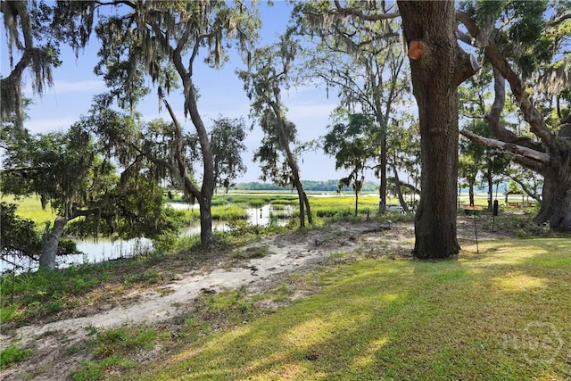 1258 Windswept Oak Ln, Beaufort, SC 29902 - photo 56