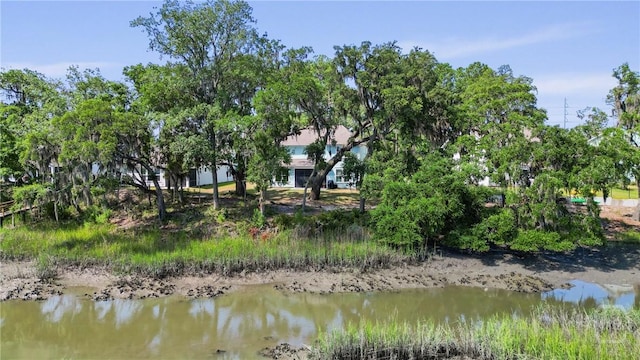 1258 Windswept Oak Ln, Beaufort, SC 29902 - photo 57
