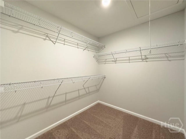 176 Brookline Dr, Savannah, GA 31407 - photo 25