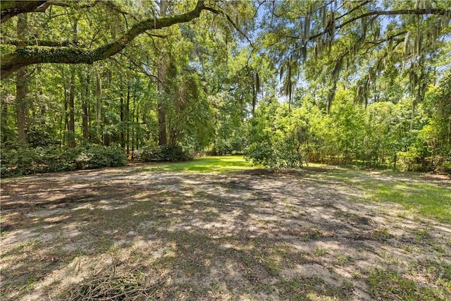 12707 Sunnybrook Rd, Savannah, GA 31419 - photo 42