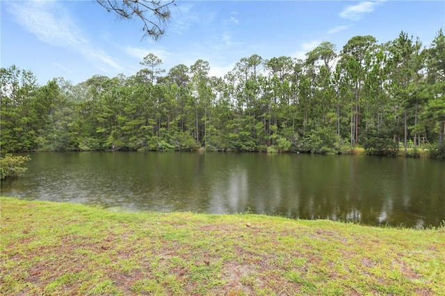 102 Altamonte Dr, Guyton, GA 31312 - photo 38