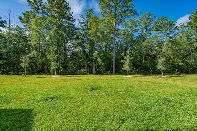 15 Daffodil Dr, Bloomingdale, GA 31302 - photo 50