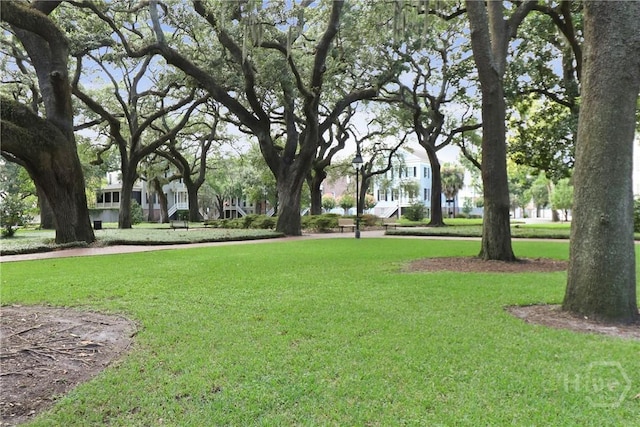 123 W Charlton St Unit 4, Savannah, GA 31401 - photo 36