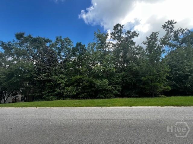 172 Cubbedge Dr, Rincon, GA 31326 - photo 3