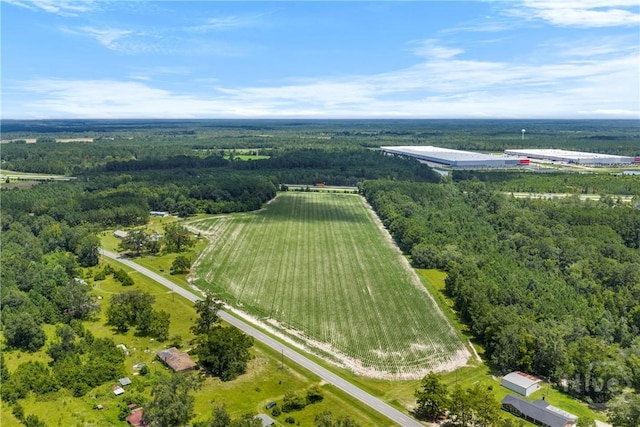 1560 Olive Branch Rd, Ellabell, GA 31308 - photo 3