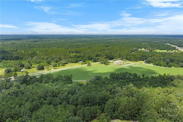 1560 Olive Branch Rd, Ellabell, GA 31308 - photo 5