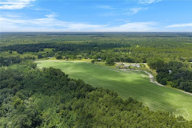 1560 Olive Branch Rd, Ellabell, GA 31308 - photo 6