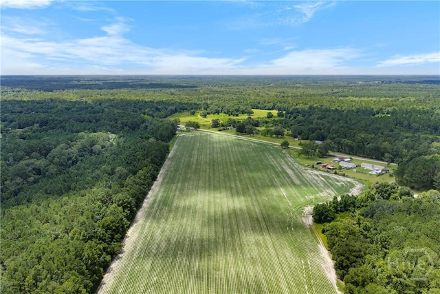 1560 Olive Branch Rd, Ellabell, GA 31308 - photo 8