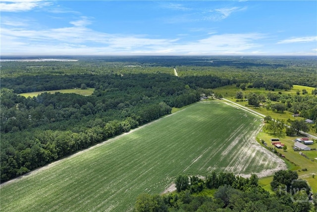 1560 Olive Branch Rd, Ellabell, GA 31308 - photo 9