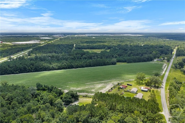 1560 Olive Branch Rd, Ellabell, GA 31308 - photo 10