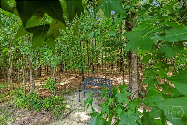 76 Carlisle Ln, Savannah, GA 31419 - photo 39