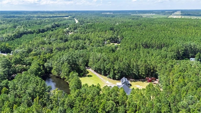 182 Old River Rd, Bloomingdale, GA 31302 - photo 61