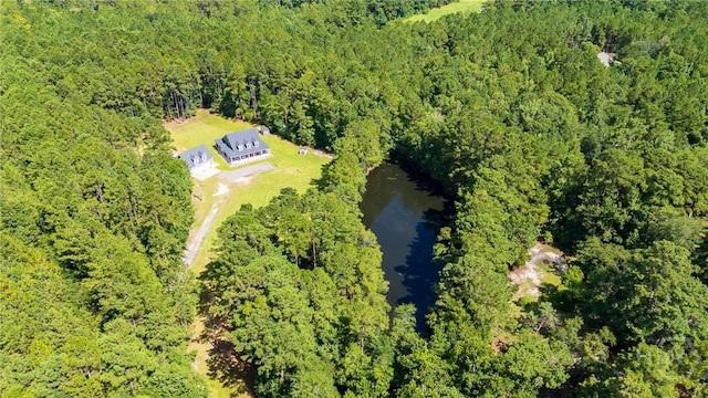 182 Old River Rd, Bloomingdale, GA 31302 - photo 62