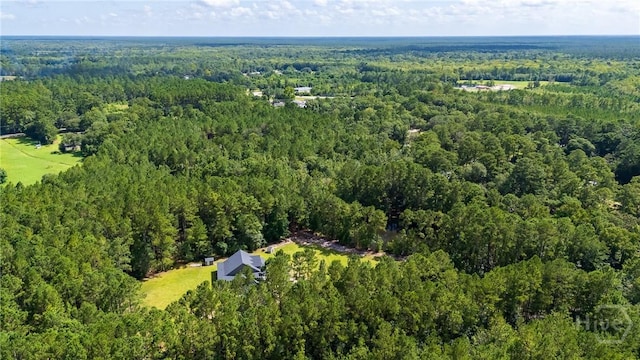 182 Old River Rd, Bloomingdale, GA 31302 - photo 64
