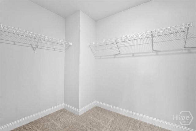 133 Ellie Way, Savannah, GA 31419 - photo 26