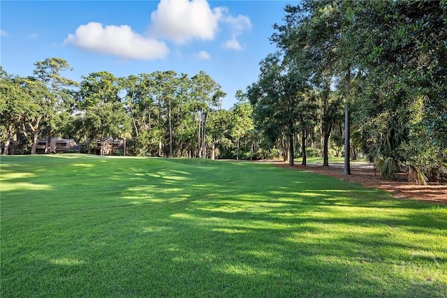 1 Brooks Ln, Savannah, GA 31411 - photo 33