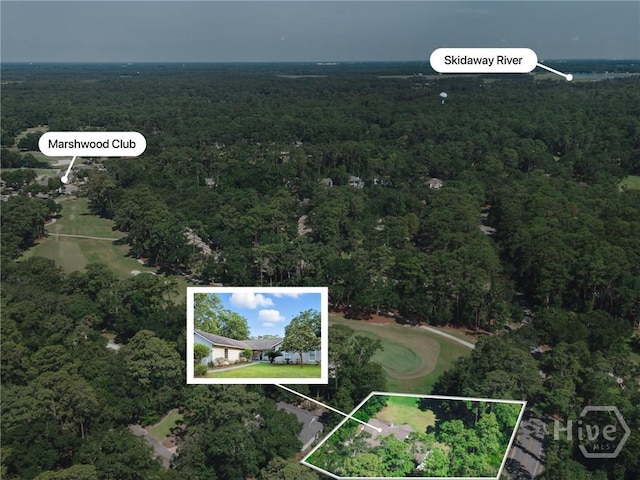 1 Brooks Ln, Savannah, GA 31411 - photo 5