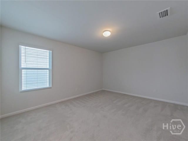 31 Cambium Cir, Richmond Hill, GA 31324 - photo 29