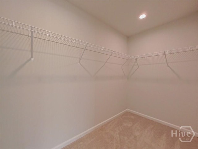 31 Cambium Cir, Richmond Hill, GA 31324 - photo 26